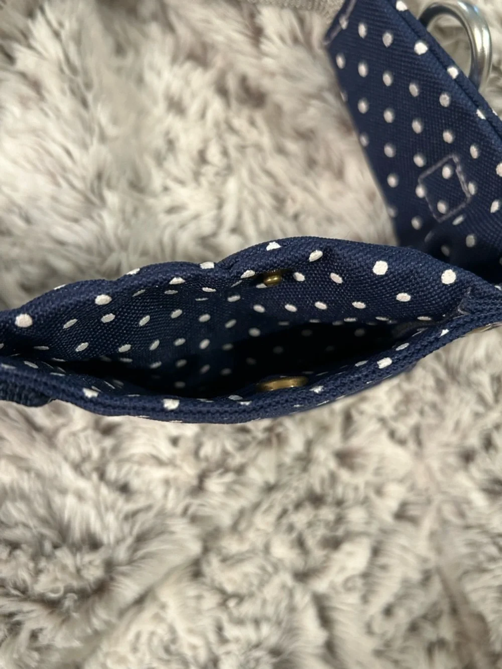 DOOG Walkie Belt - Navy Blue Polka Dot